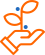 features image